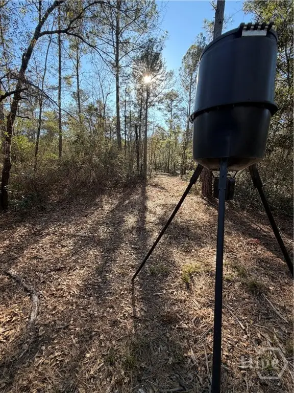 3833 Old Louisville Road, Guyton, GA 31312 - #3