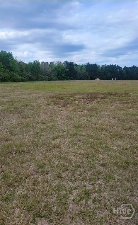 481 & 523 NE S T Morris Road, Ludowici, GA 31316