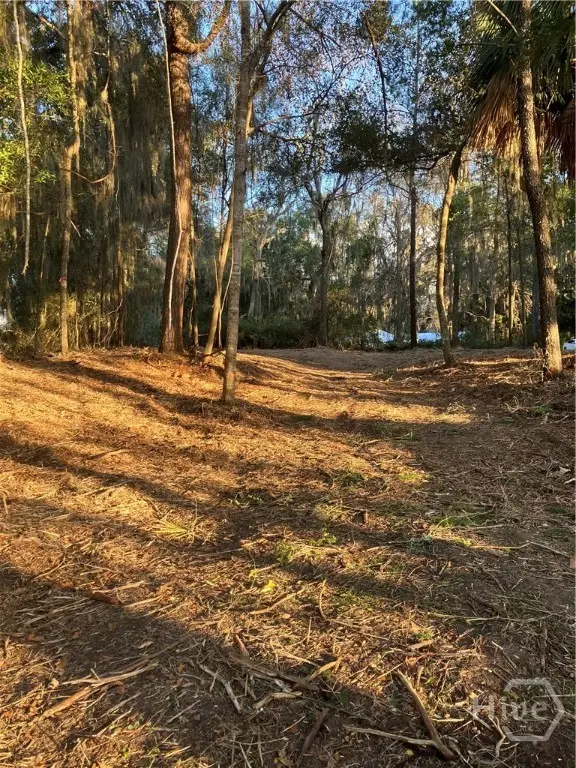 Lot 8 Hudson Creek Drive Se, Darien, GA 31305 - Image #2