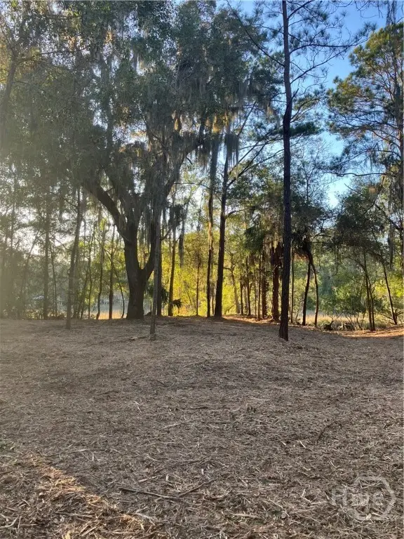 Lot 8 Hudson Creek Drive Se, Darien, GA 31305 - Image #3