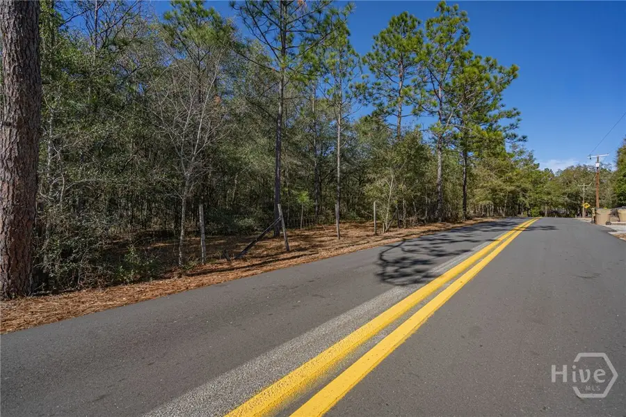 164 Holly Drive, Eden, GA 31307 - Image #2