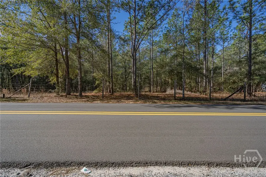 164 Holly Drive, Eden, GA 31307 - Image #3