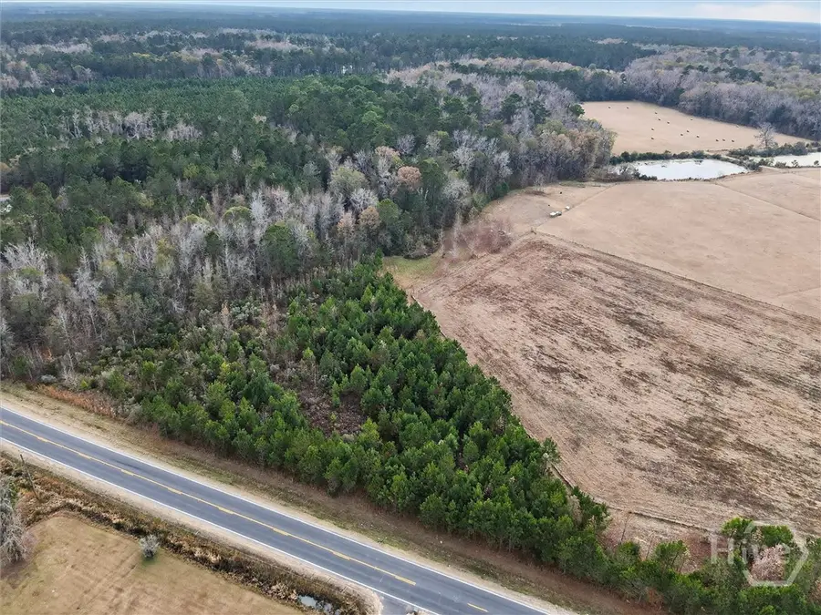 Lot 5 Mccall Road, Rincon, GA 31326 - #2