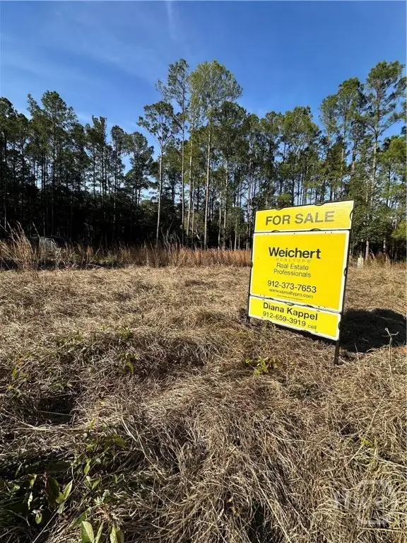 135 and 139 Greenbriar Drive, Guyton, GA 31312 - Image #2