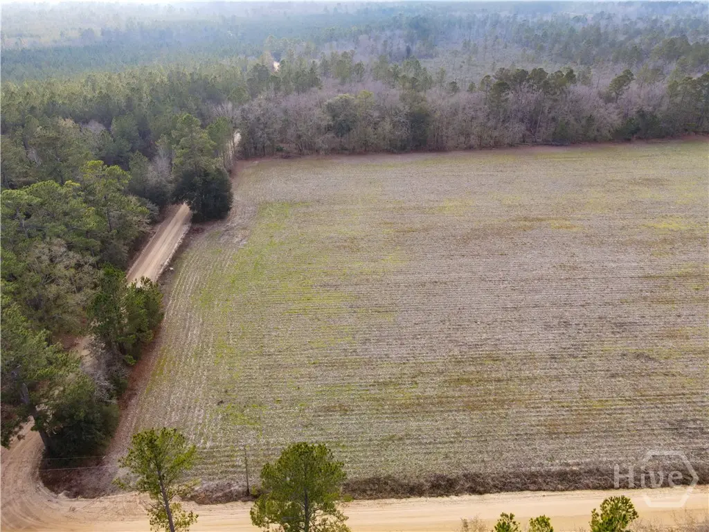 0 Floyd Road #Lot 7, Pembroke, GA 31321 - #1