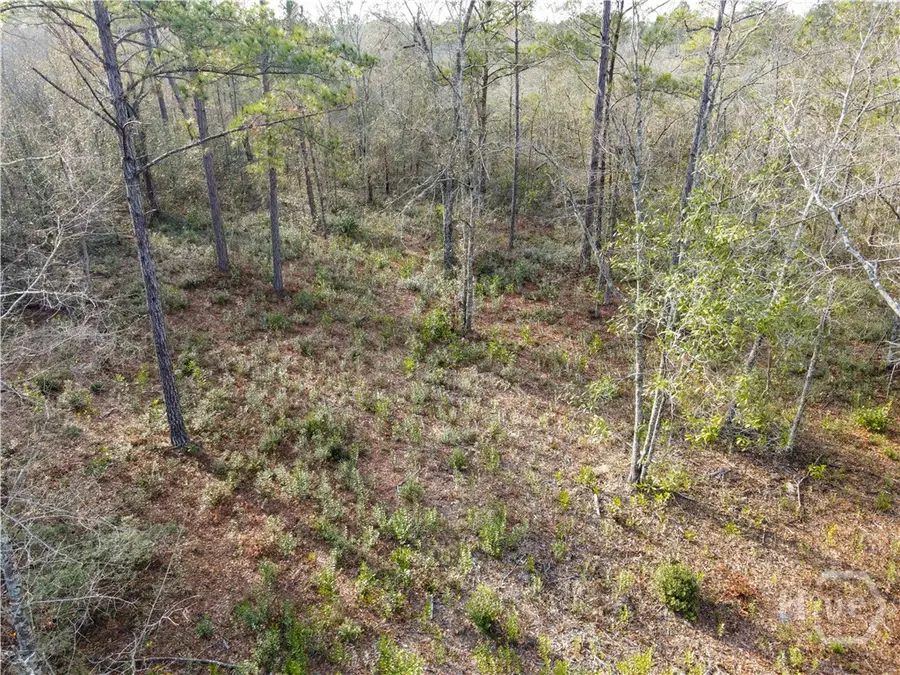 0 Floyd Road #Lot 8, Nevils Stilson, GA 31321 - Image #3