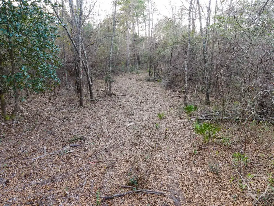 0 Floyd Road #Lot 9, Pembroke, GA 31321 - Image #2