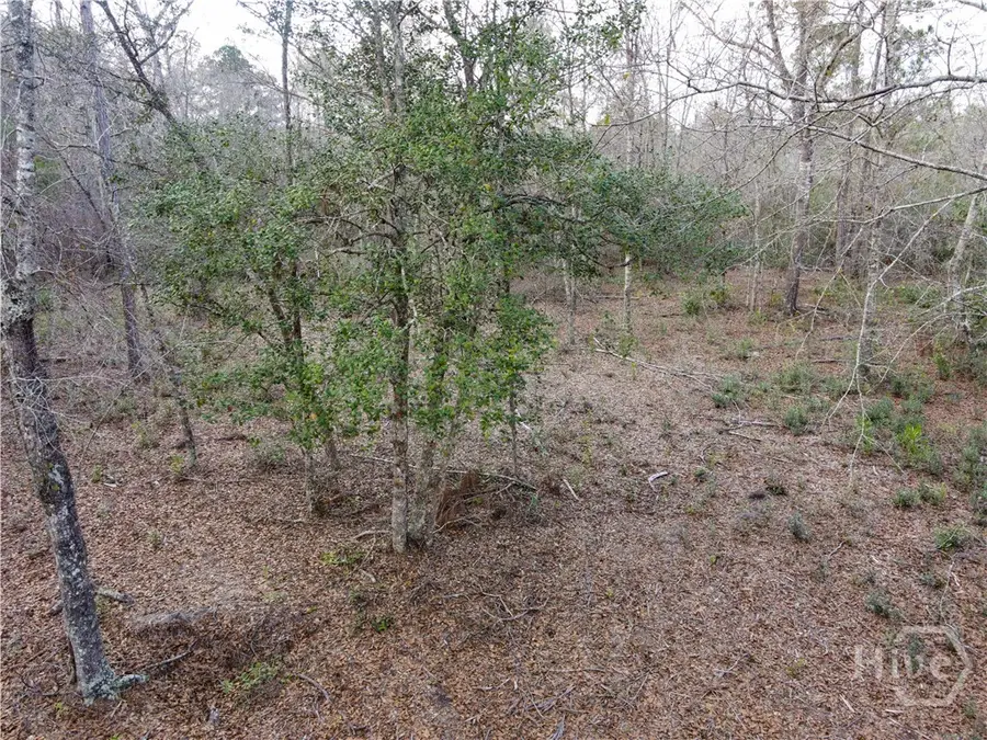 0 Floyd Road #Lot 9, Pembroke, GA 31321 - Image #3