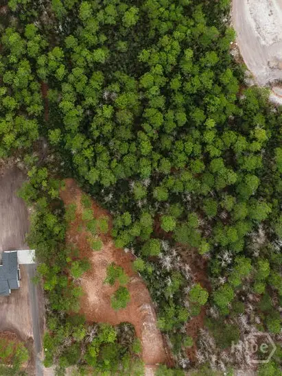 1743 Shawnee Egypt Road, Springfield, GA 31329 - #3