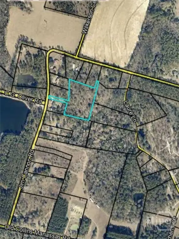 0 Jim Cannon, Collins, GA 30421