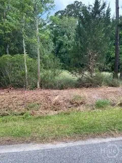 Lot 35 and 36 W 1st Street, Midway, GA 31320