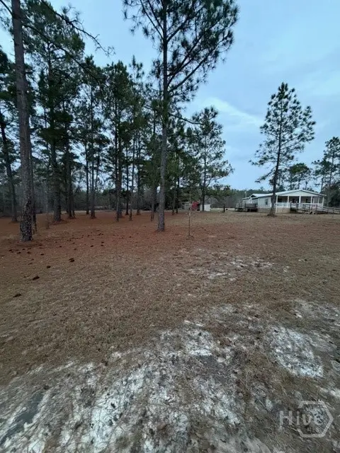 163 Dellwood Road, Swainsboro, GA 30401 - Image #2