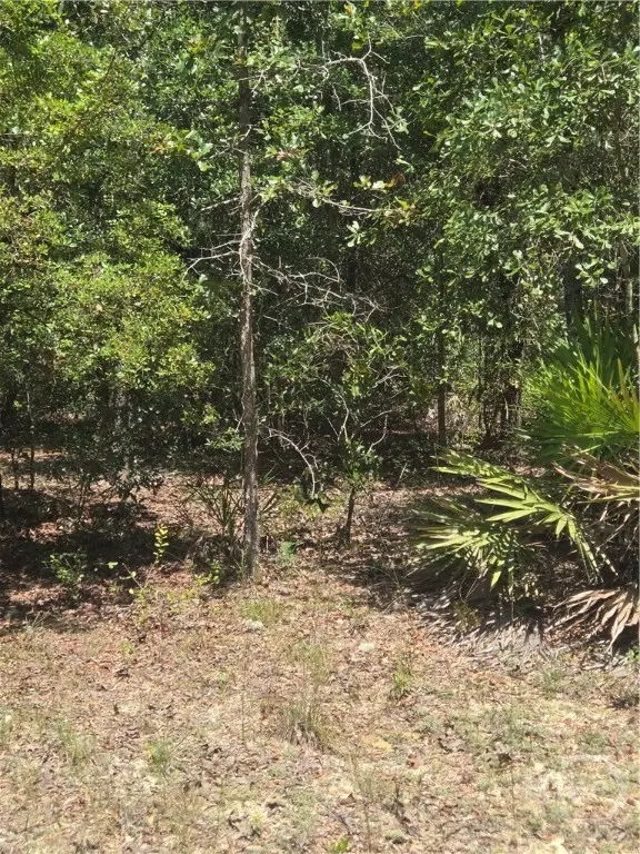 2 Acres Jones Road, Glennville, GA 30427