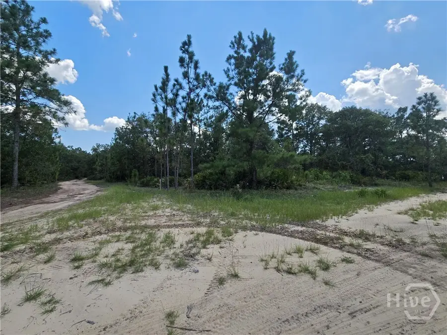2 Acres Jones Road, Glennville, GA 30427 - Image #2