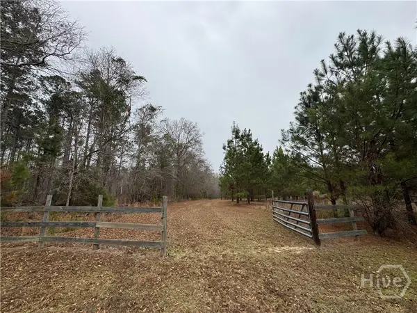 3794 Millen Highway, Sylvania, GA 30467