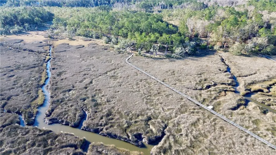 Tract 4 S Newport Drive Ne, Townsend, GA 31331 - Image #2