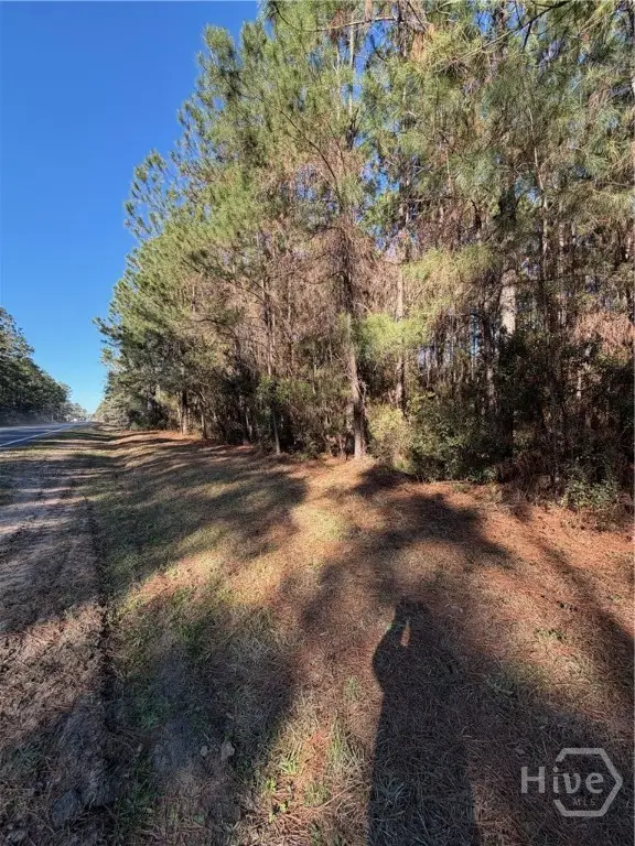 3C Mccall Road, Springfield, GA 31329 - Image #2