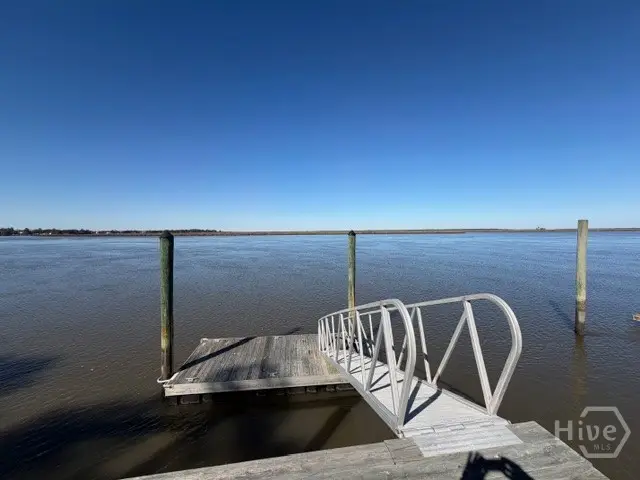 39 Ft Mcallister Road, Richmond Hill, GA 31324 - #1