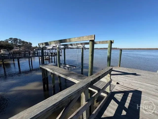 39 Ft Mcallister Road, Richmond Hill, GA 31324 - #3