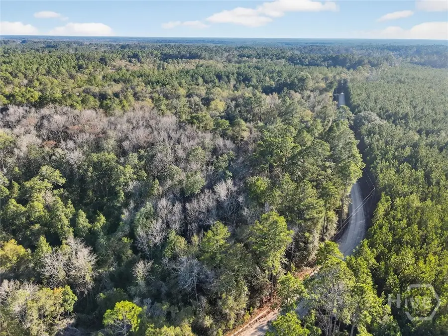 0 Beautuiful Zion Cemetery Road, Pembroke, GA 31321 - Image #2