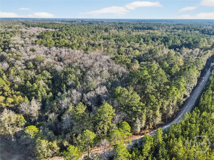 0 Beautuiful Zion Cemetery Road, Pembroke, GA 31321 - Image #3