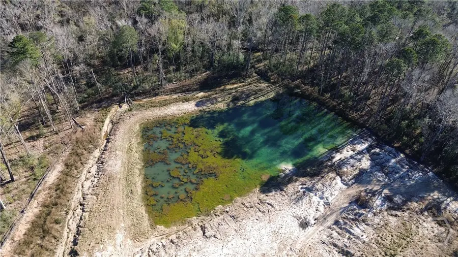 0 Timber Trail, Richmond Hill, GA 31324 - Image #2