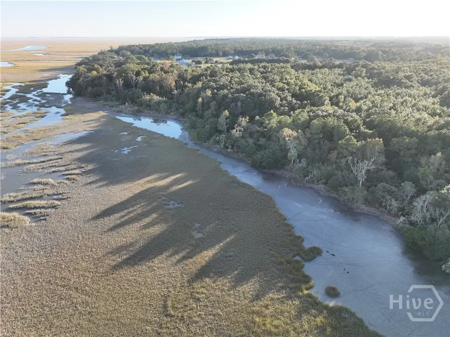 0 Deloach Road, Midway, GA 31320 - Image #2