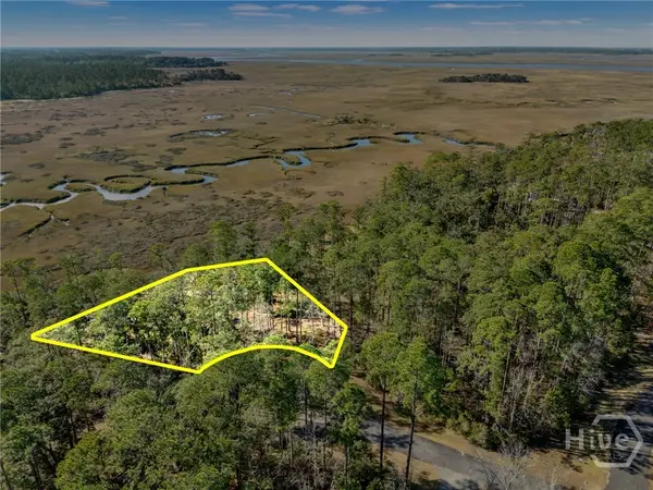 Lot 138 Sapelo Circle Ne, Townsend, GA 31331