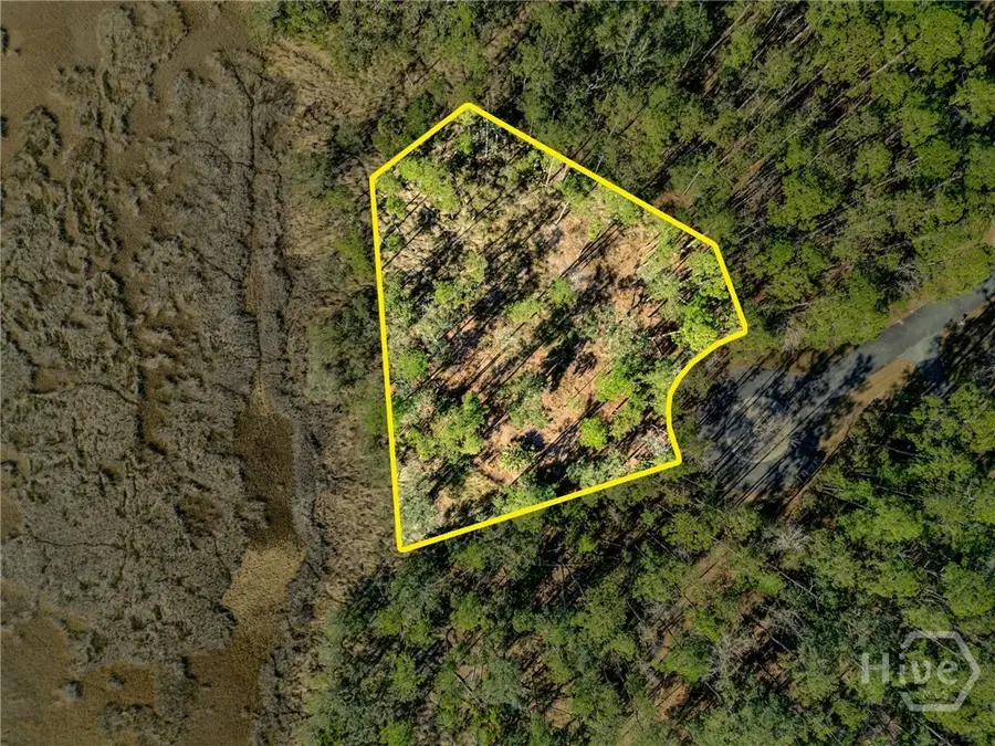 Lot 138 Sapelo Circle Ne, Townsend, GA 31331 - #2
