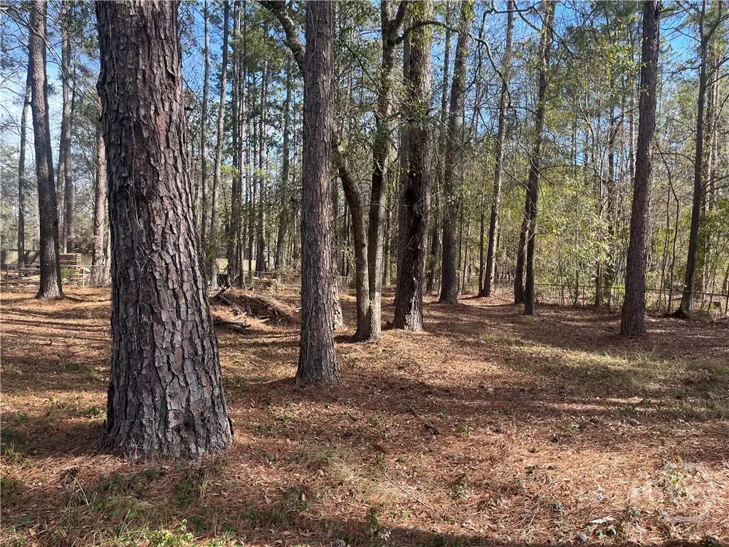 157 John Carter Road, Bloomingdale, GA 31302 - Image #1