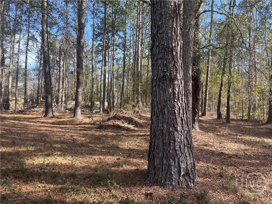 157 John Carter Road, Bloomingdale, GA 31302 - Image #3