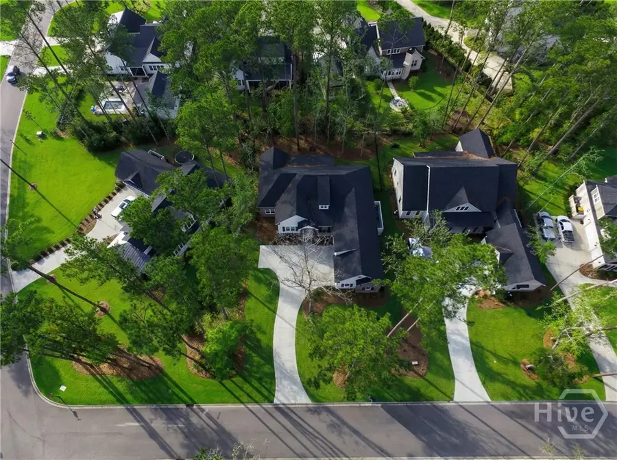 542 Linkside Lake Drive, Richmond Hill, GA 31324 - Image #2