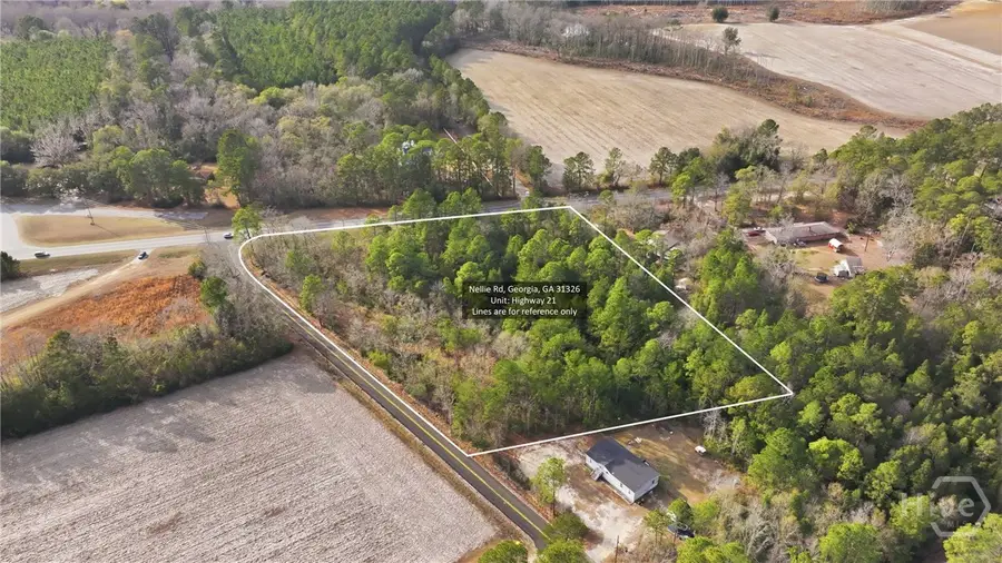 0 Nellie Road, Rincon, GA 31326 - #3