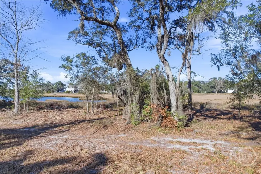 LOT 5 Bermuda Bluff Lane, Midway, GA 31320 - Image #2