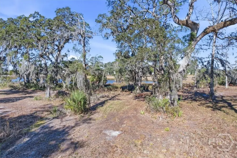 LOT 3 Bermuda Bluff Lane, Midway, GA 31320 - #3