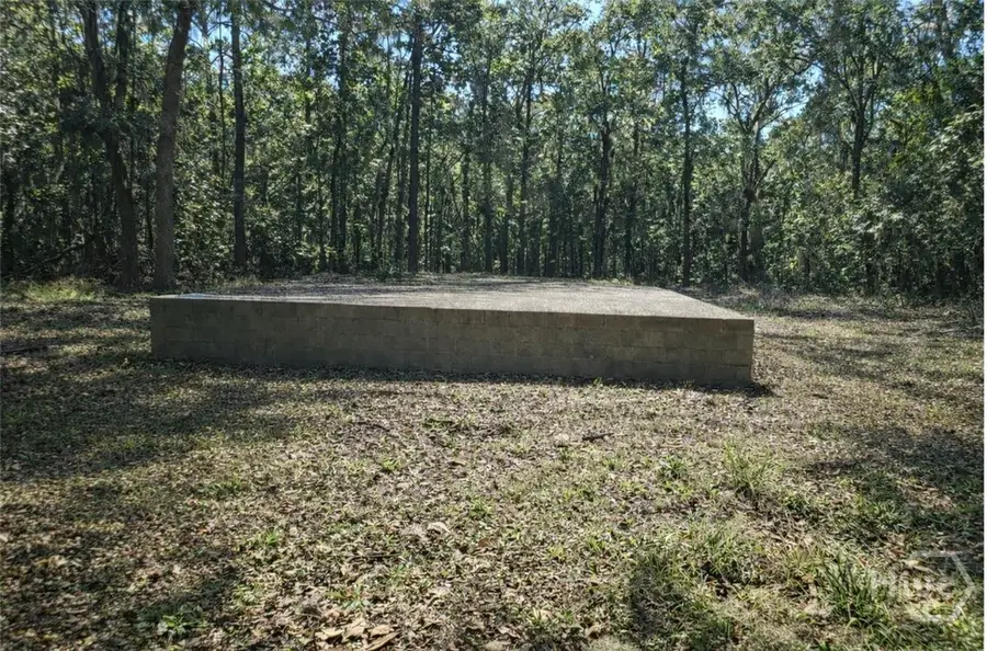 103 Coffee Bluff Villa Rd., Savannah, GA 31419 - #2