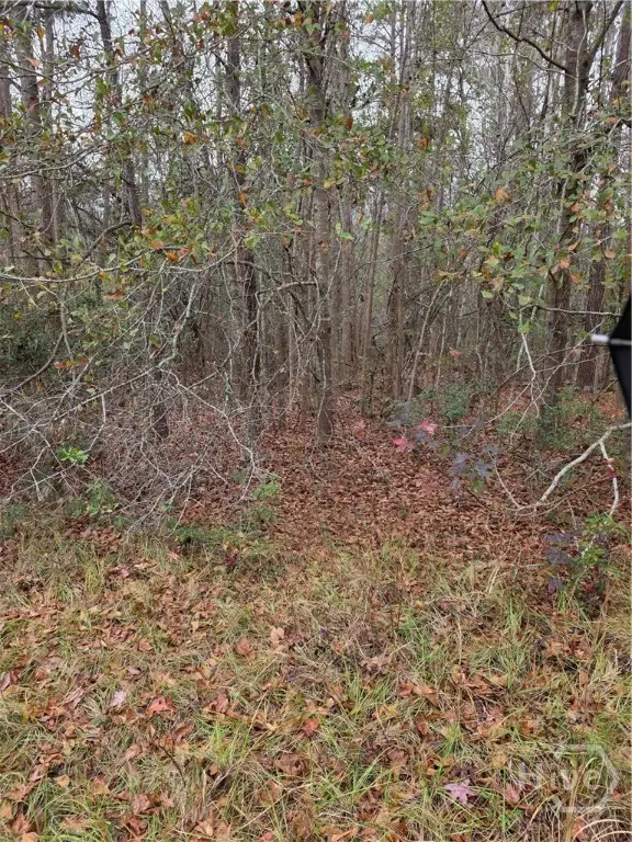 861 Brinson Road, Brooklet, GA 30415 - #2