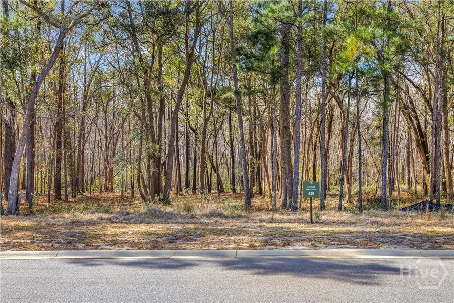 153 Wood Haven Lane, Pooler, GA 31322 - #3