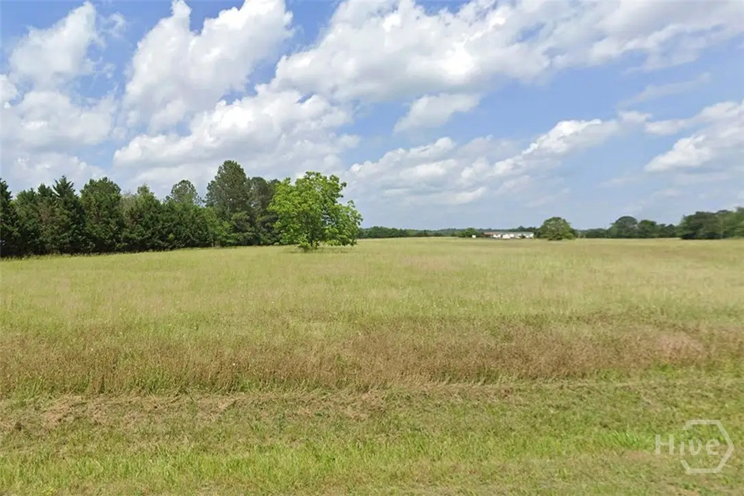0 Suttles Road, Elberton, GA 30635 - #1