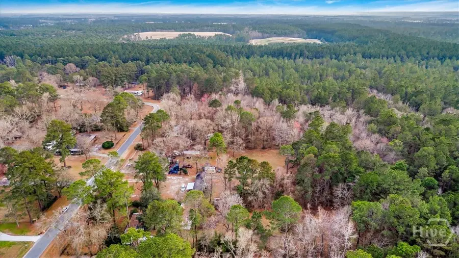 222 Wallace Circle, Bloomingdale, GA 31302 - #3