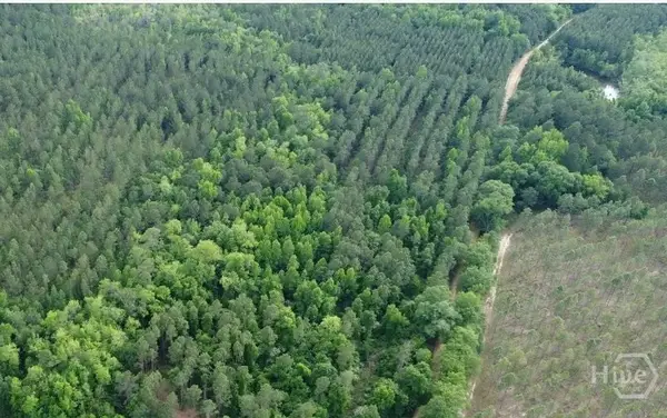 0 Old Manassas Foy Road #Tract 5, Register, GA 30452