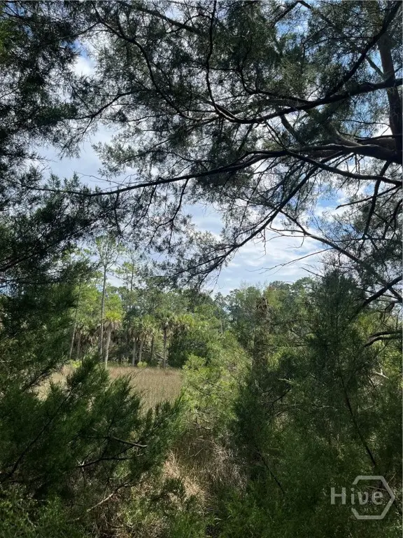 0 Perry Cove, Savannah, GA 31410 - #1