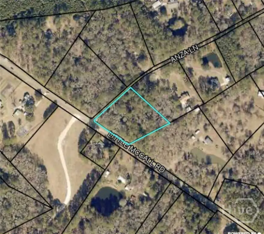 0 Little Mccall Road, Rincon, GA 31326 - #2