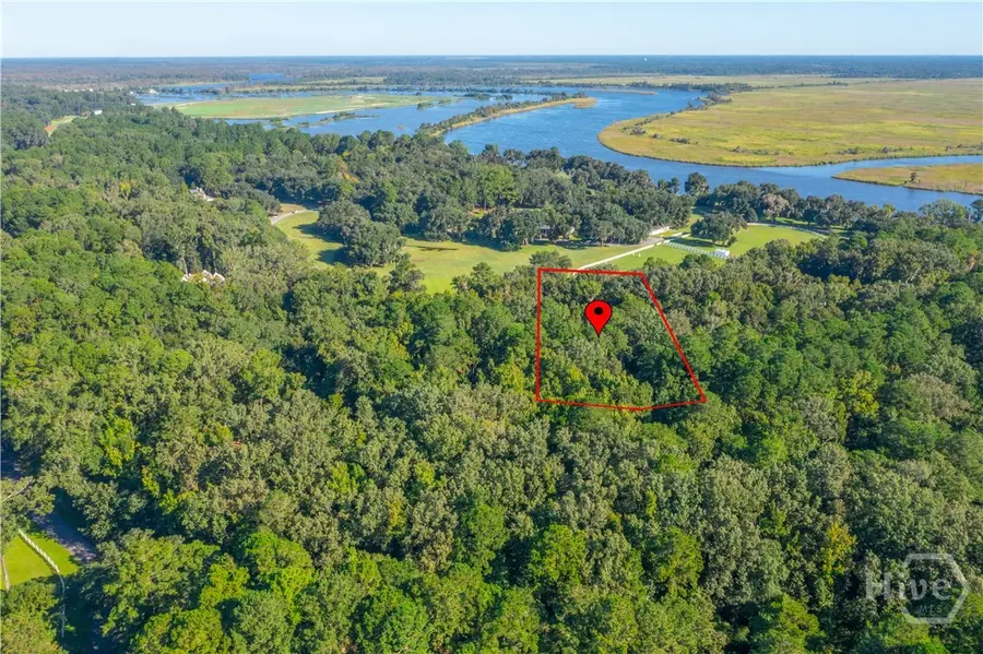 89 Jimmy Blige Lane, Richmond Hill, GA 31324 - #3