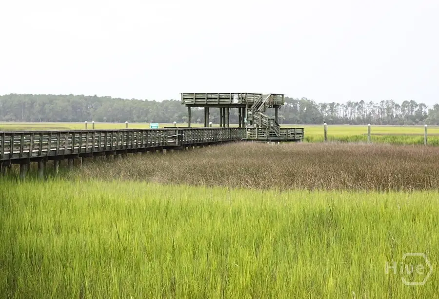 12300 Apache Avenue, Savannah, GA 31419 - #2