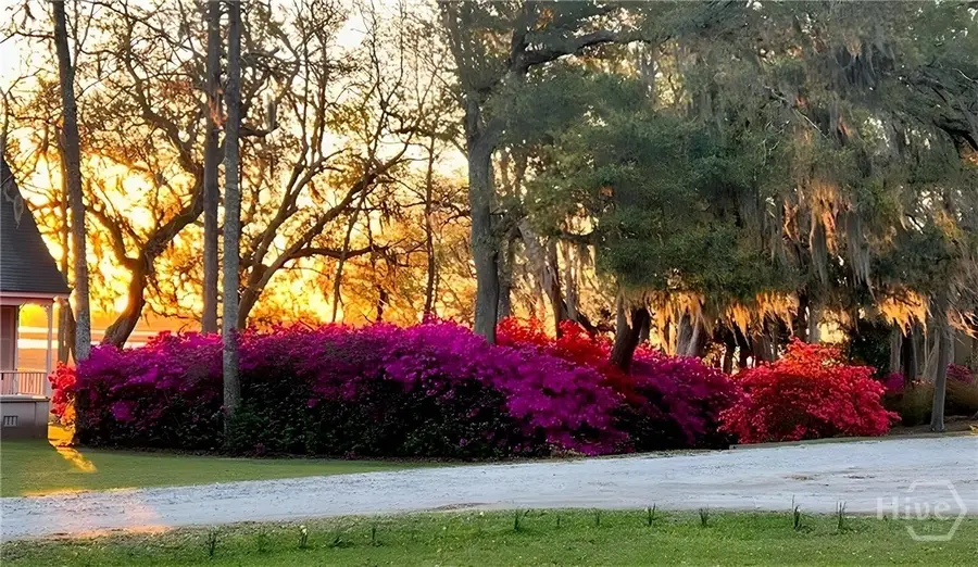 0 Brigantine Dunmore Road, Midway, GA 31320 - #3