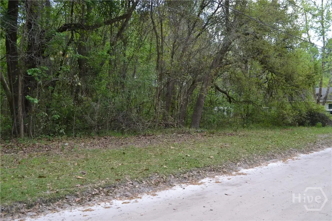 0 S Hickory Street, Bloomingdale, GA 31302 - #1