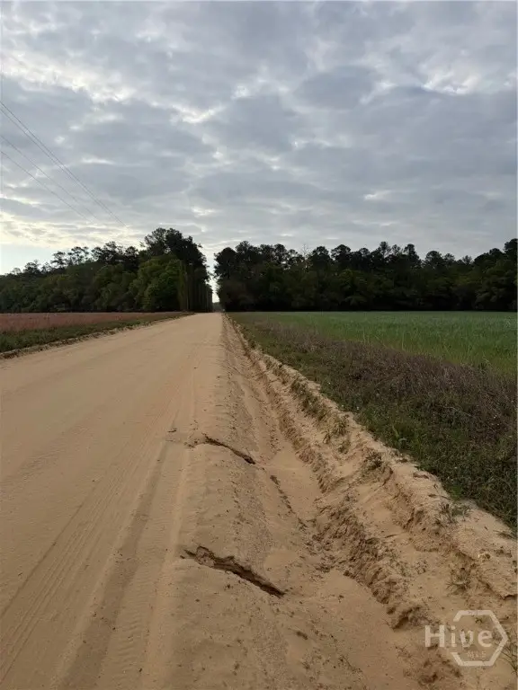 02 Springfield Egypt Road, Springfield, GA 31329 - #2