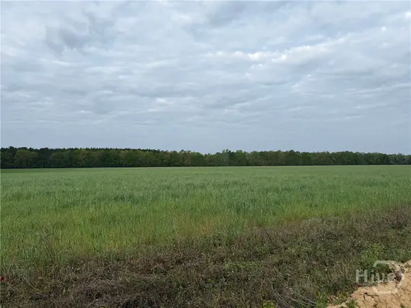 03 Springfield Egypt Road, Springfield, GA 31329