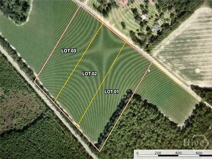 03 Springfield Egypt Road, Springfield, GA 31329 - #3